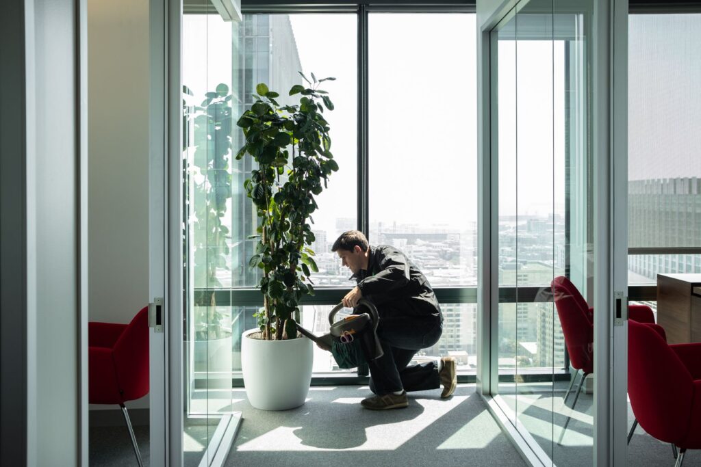 office plant referrals | The Wright Gardner