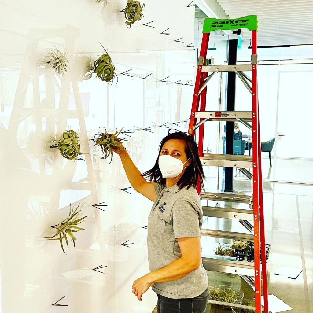 Indoor plant design and installation