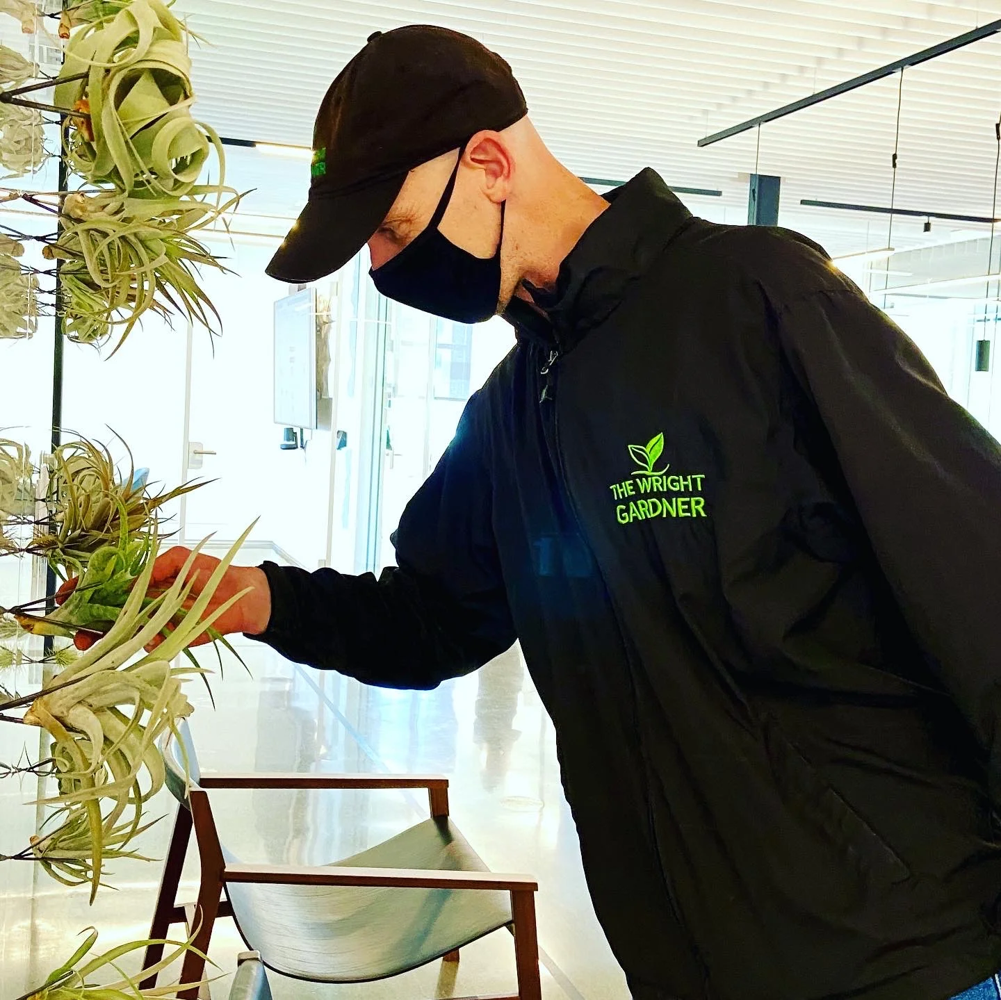Plant care and replacement