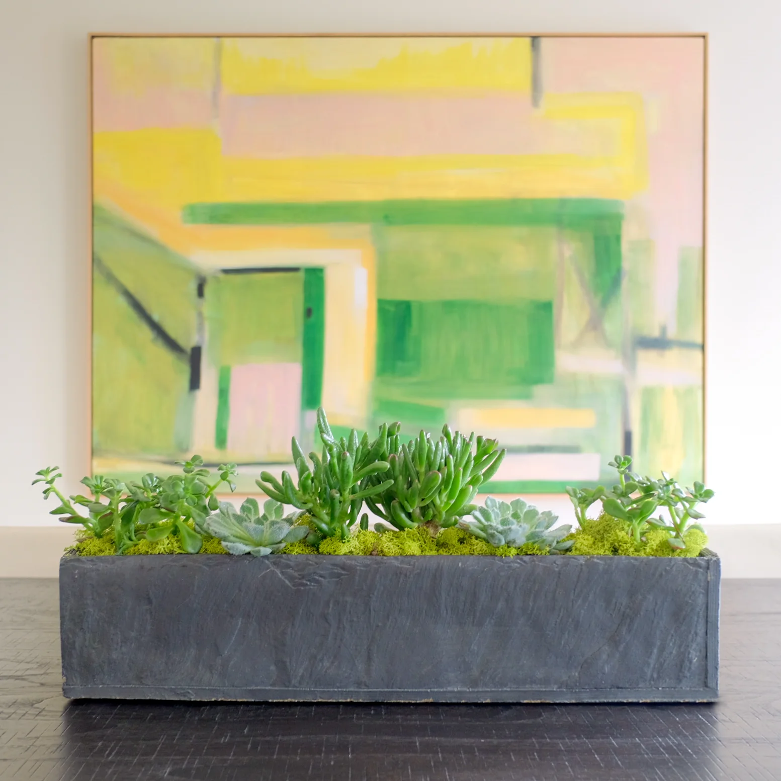 Why indoor plants are important for indoor air quality