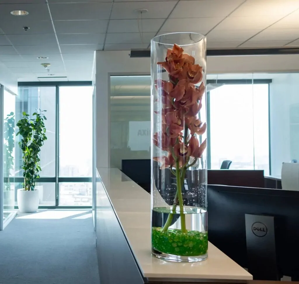 Orchids office