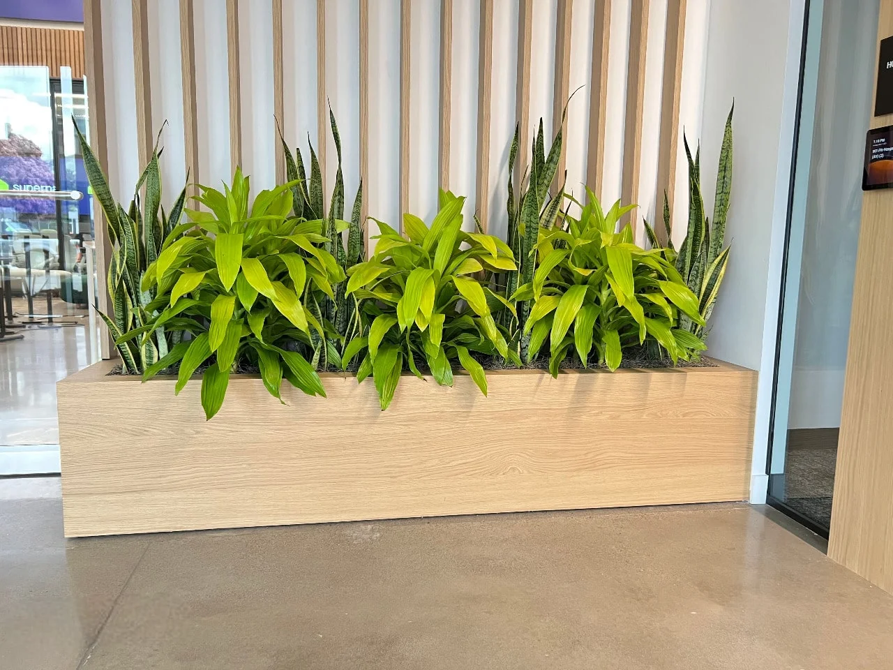 floating plant wall shelves Plant Shelf, Plant Holder, Wall Shelf, Plants main image 0