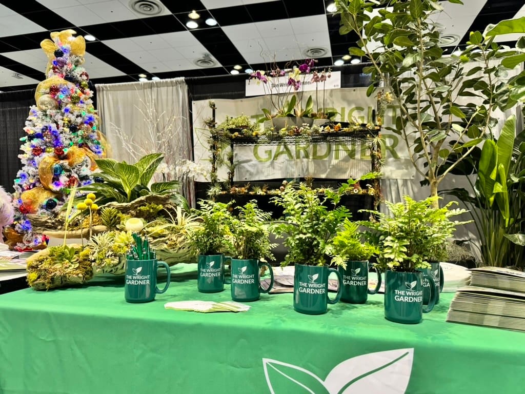 1DE0ECC7-BB85-4DD8-B381-A1C580B20F45_1_105_c